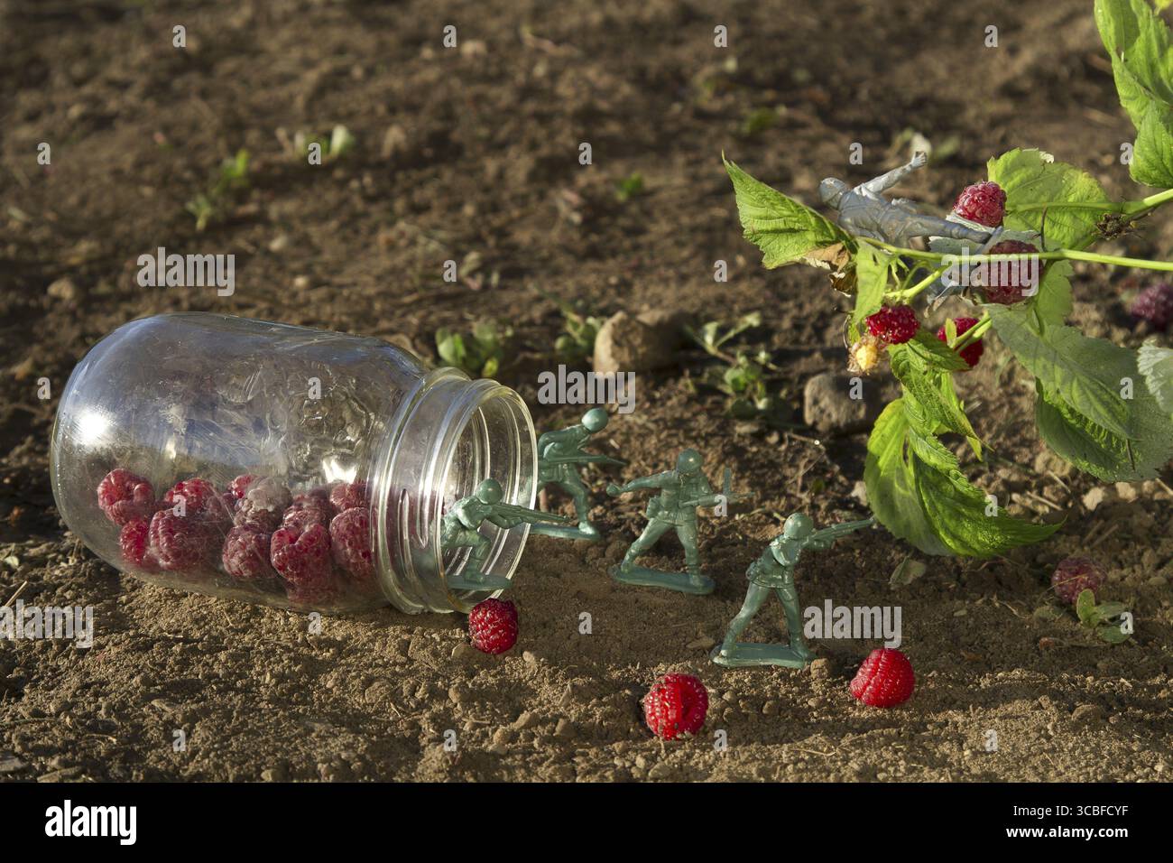 Quattro soldati giocattolo verdi che proteggono un barattolo di lampone contro un soldato grigio Foto Stock