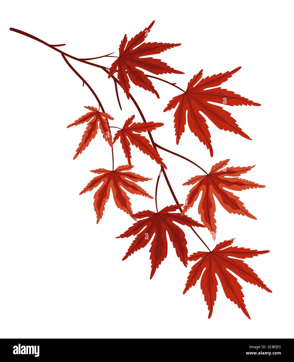 Ramo d'acero giapponese con foglie autunnali rosse su sfondo bianco Illustrazione Vettoriale