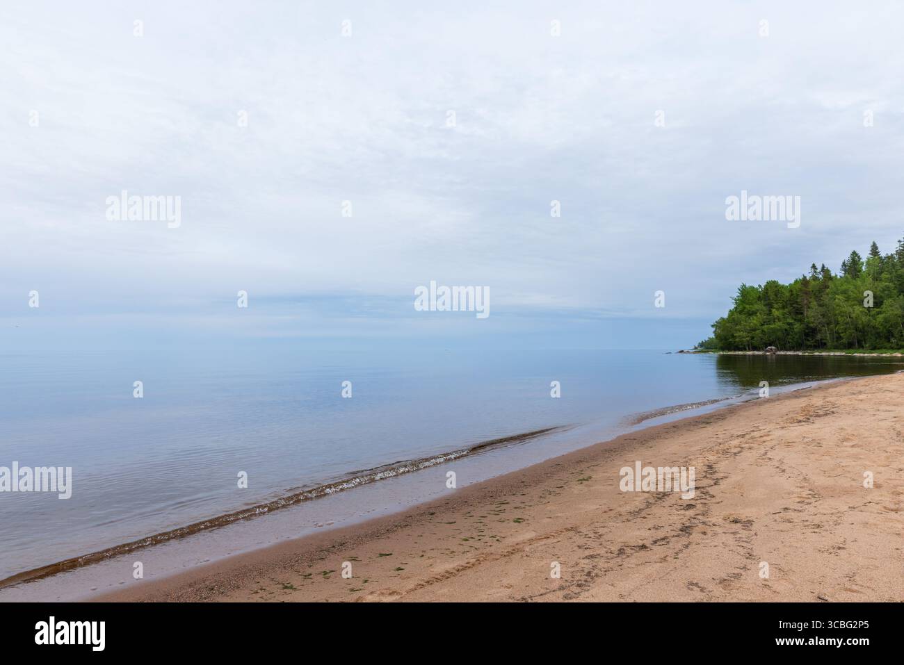 Una tranquilla spiaggia con sabbia soffice, acque calme e una spettacolare linea di alberi sotto un cielo nuvoloso, che enfatizza la pace, la natura e la bellezza panoramica. Ladoga lak Foto Stock