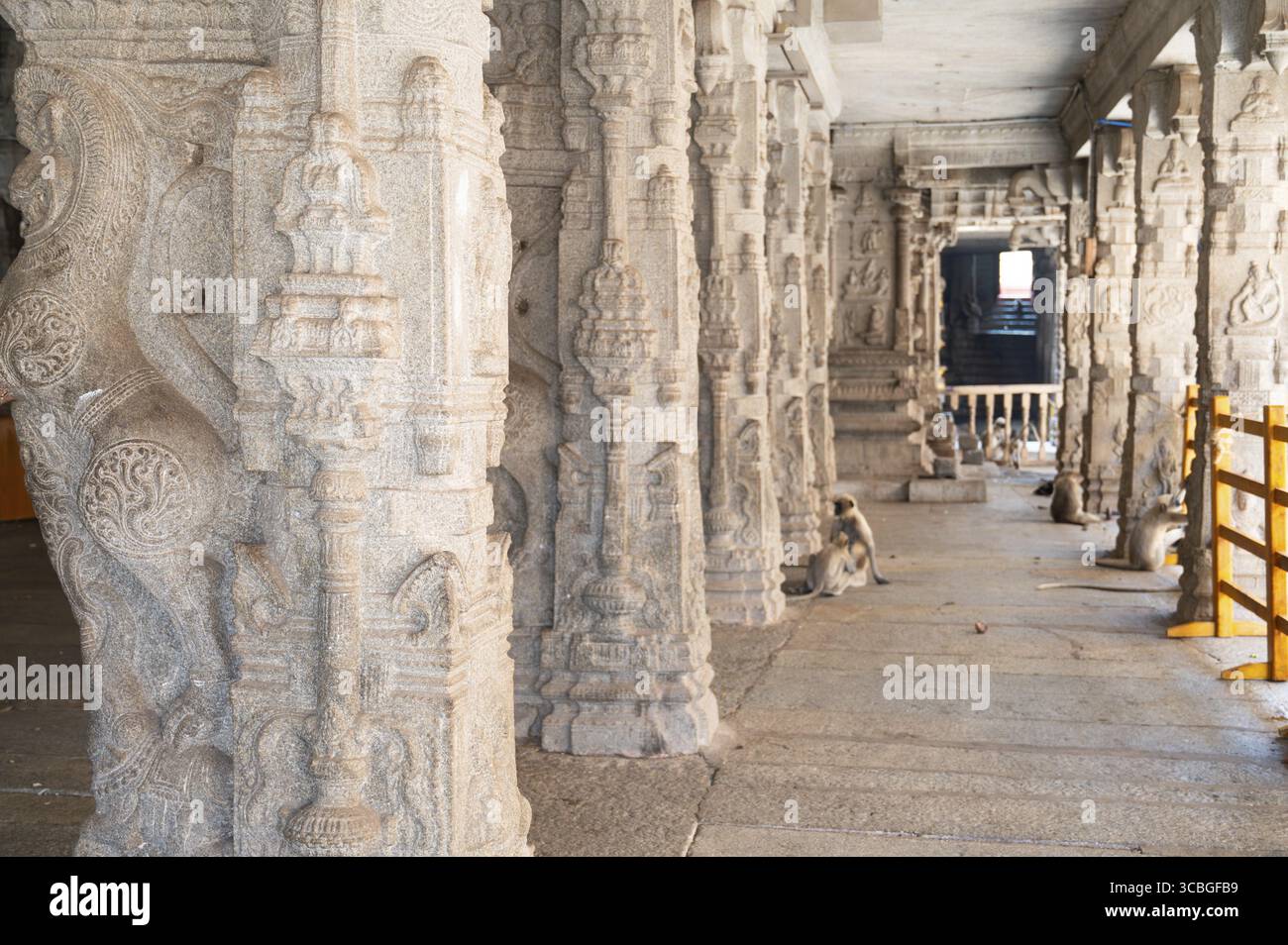 dio indù nel tempio Virupaksha di Hampi, scavato nella roccia, nella storia e nella religione dell'India, rovina dell'Impero Vijayanagara Foto Stock