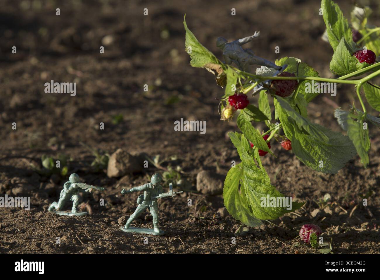 Due soldato giocattolo verde che combattono con un soldato grigio per il lampone Foto Stock