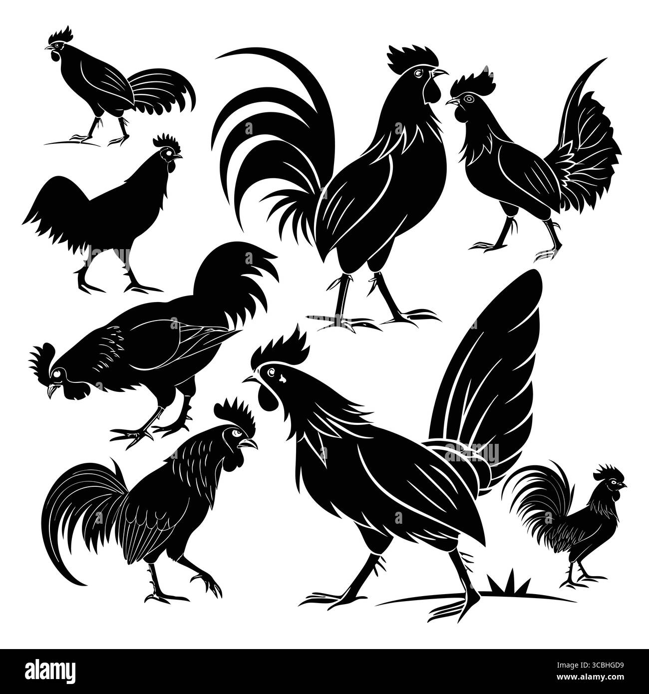 Silhouette Ayam-cemani nera stilizzata illustrazioni in varie pose dinamiche Illustrazione Vettoriale