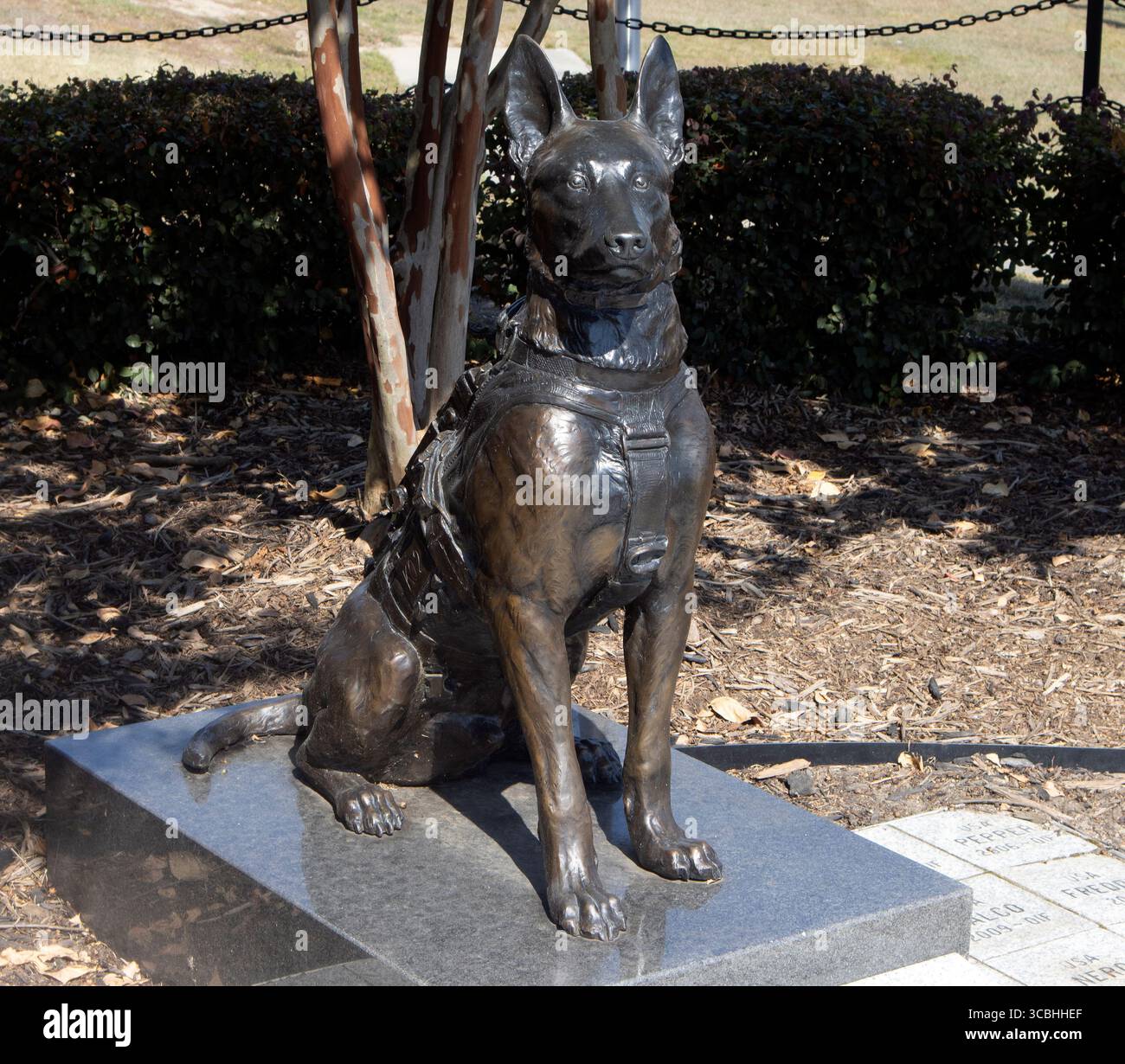 Onorando il coraggio dei cani militari che lavorano, lo Special Forces K9 Memorial di Fayetteville, North Carolina, rende omaggio agli eroi canini in servizio. Foto Stock