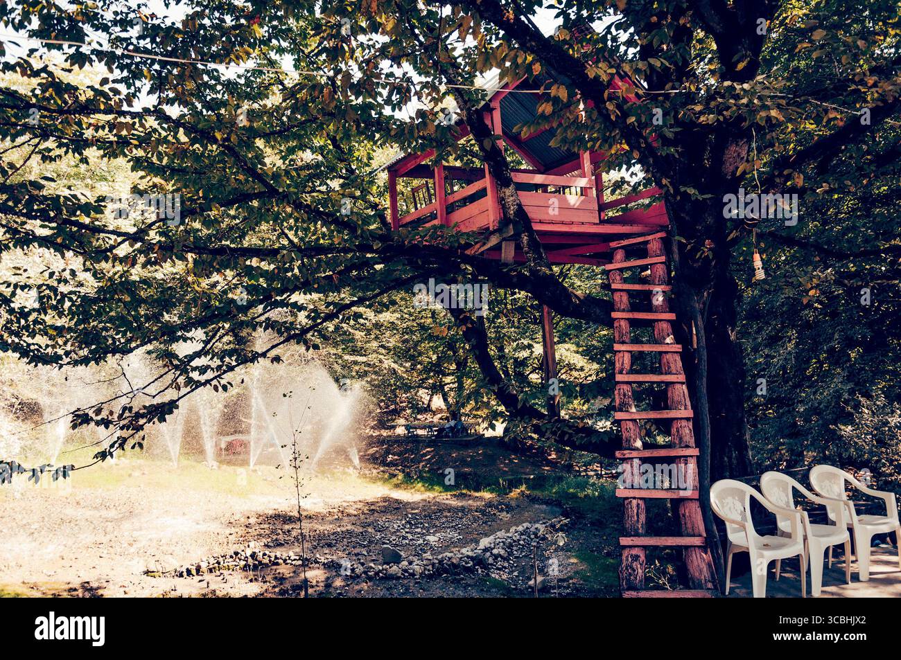 Casa sull'albero, arroccata su un albero da cortile, dove i bambini possono creare il proprio mondo, inventando giochi e avventure Foto Stock