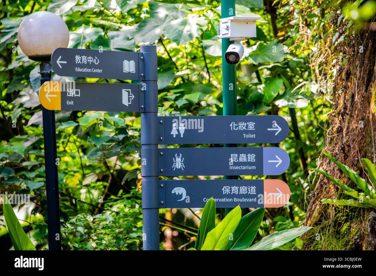 Taipei Taiwan 2 giugno 2025: All'interno dello Zoo di Taipei a Taiwan, ci sono dei cartelli che indicano le indicazioni per varie mostre di animali. Foto Stock