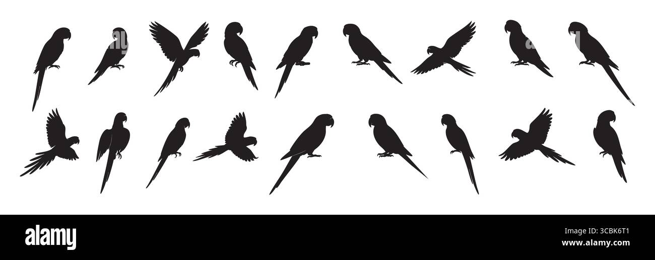 Set di sagoma nera di pappagalli d'ara multipli in varie pose, isolati su sfondo bianco. concetto di uccelli tropicali, fauna selvatica, natura, voliera, Illustrazione Vettoriale