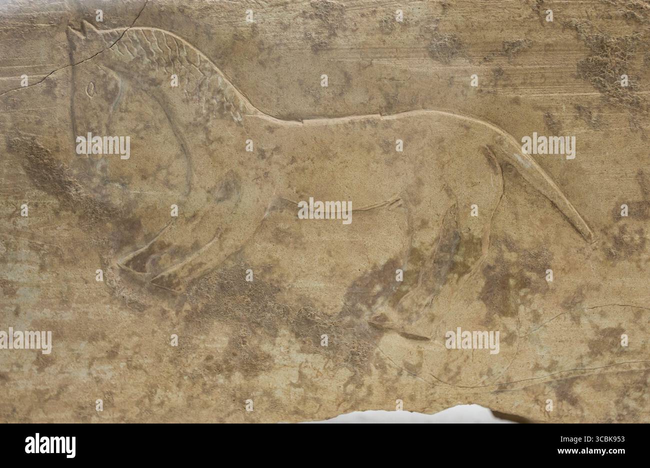 Siviglia, Spagna - 16 aprile 2019: Soccorso iberico appartenente al Santuario dei cavalli. Museo archeologico di Siviglia, Andalusia, Spagna Foto Stock