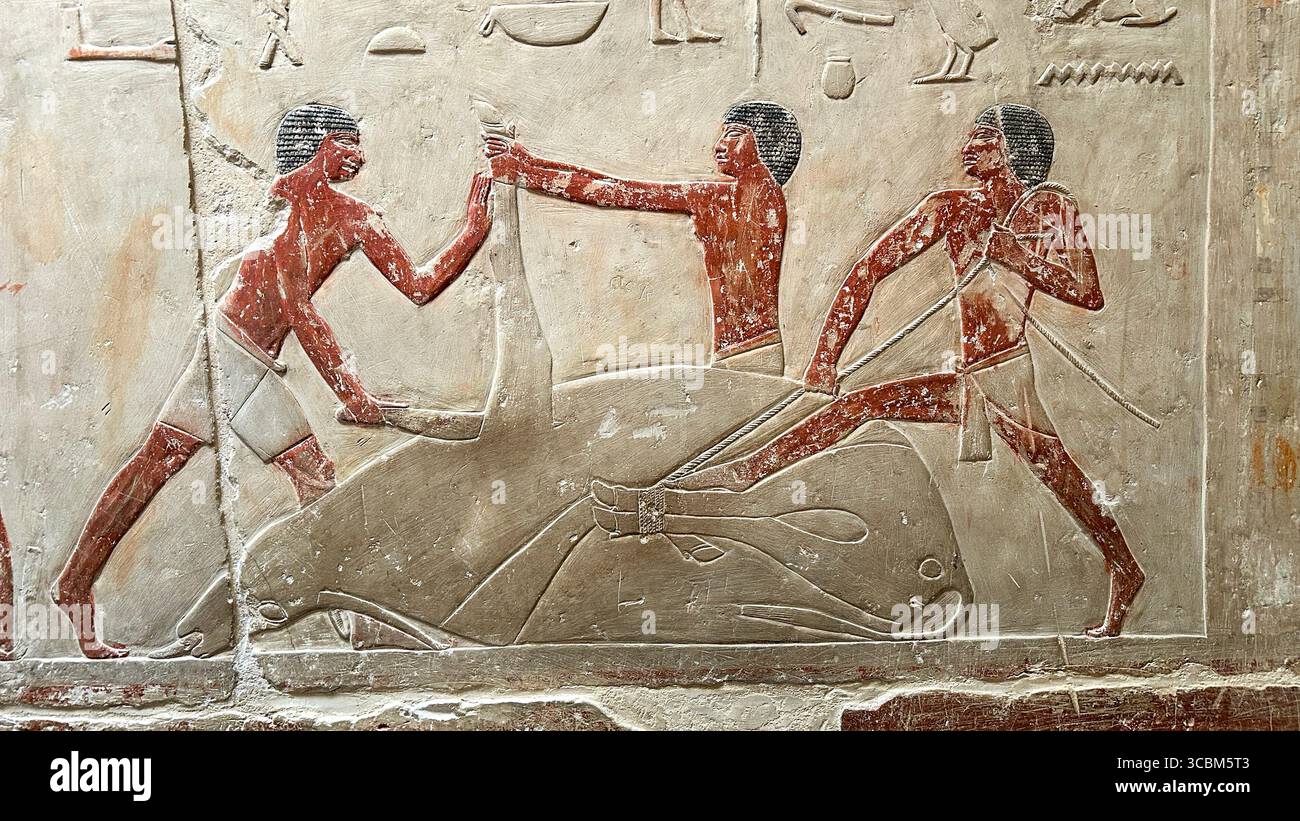 Antico rilievo egizio dalla mastaba della principessa Idut a Saqqara, raffigurante il sacrificio rituale di tori come parte delle usanze funerarie. Foto Stock