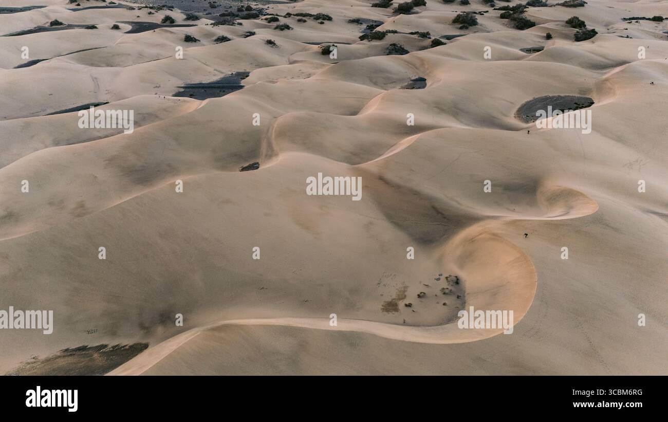 Vista aerea delle dune ondulate baciate dal sole che proiettano ombre morbide, creando un paesaggio affascinante di texture e toni, Maspalomas, Gran Canaria, Spagna. Foto Stock
