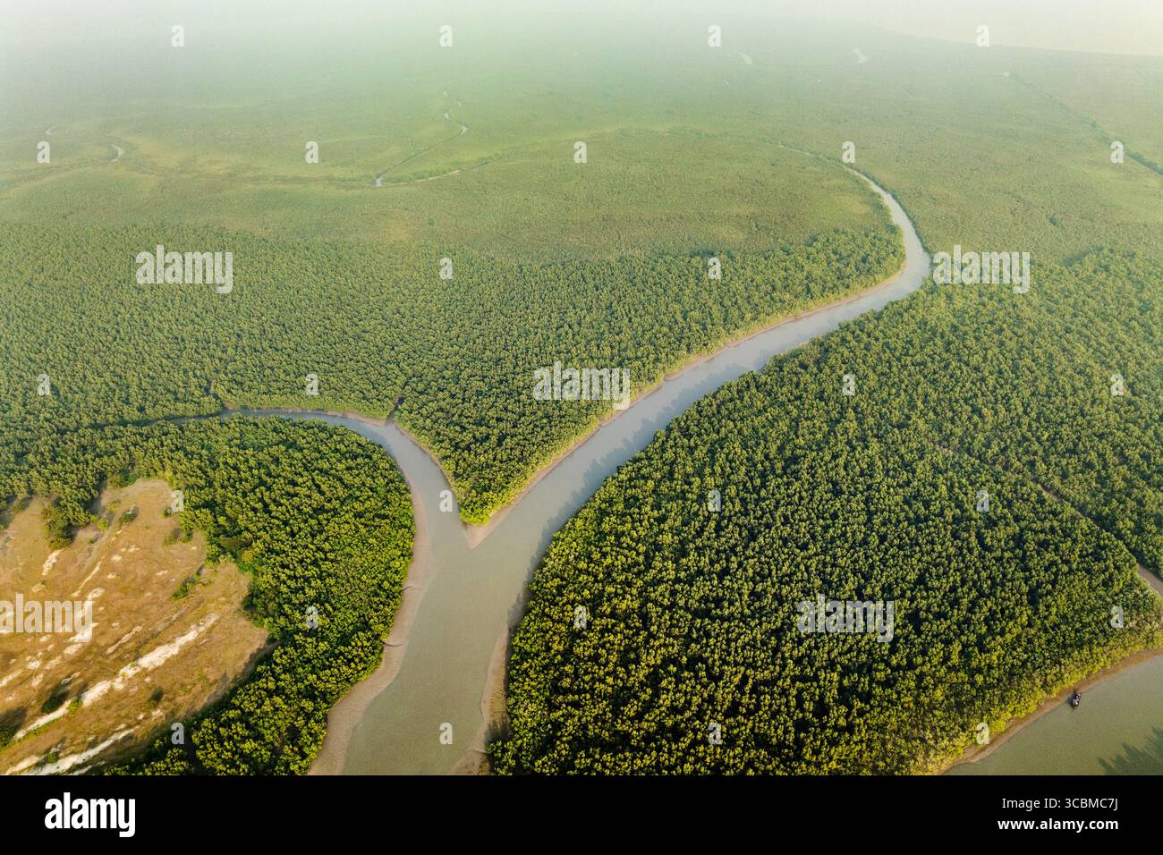 Vista aerea di tortuosi fiumi che attraversano lussureggianti tettoie verdi della foresta, rivelando un arazzo di corsi d'acqua e distese verdeggianti, Sundarban, Khulna Division, Bangladesh. Foto Stock