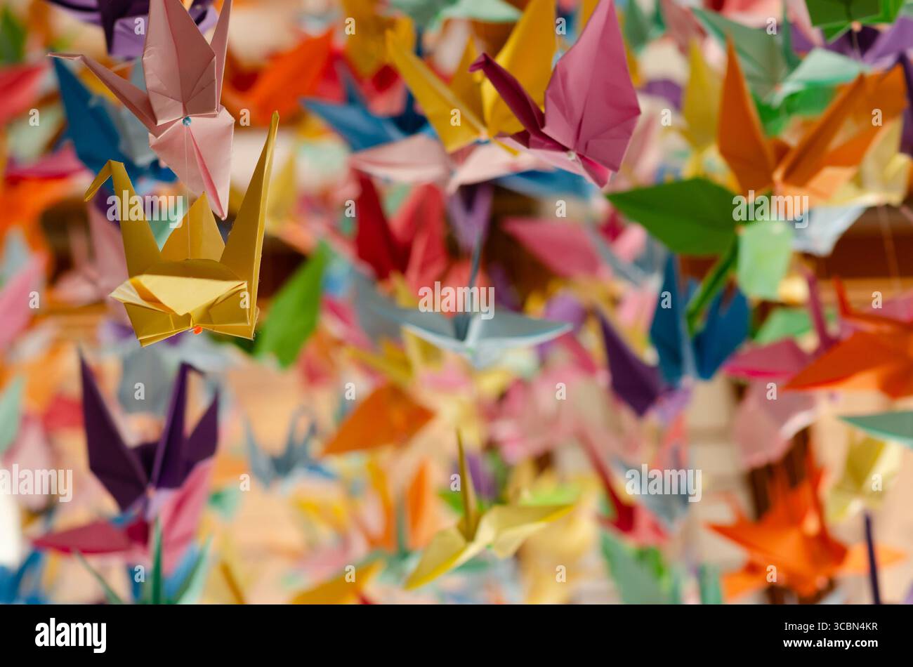 Centinaia di gru origami colorate appese al soffitto. Foto Stock