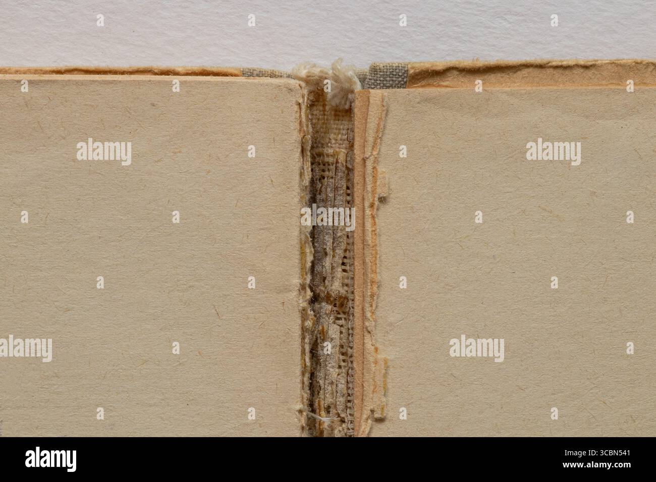 Vecchio libro strappato con pagine bianche ingiallite e lacerazione al centro su sfondo bianco, pagine gialle Foto Stock