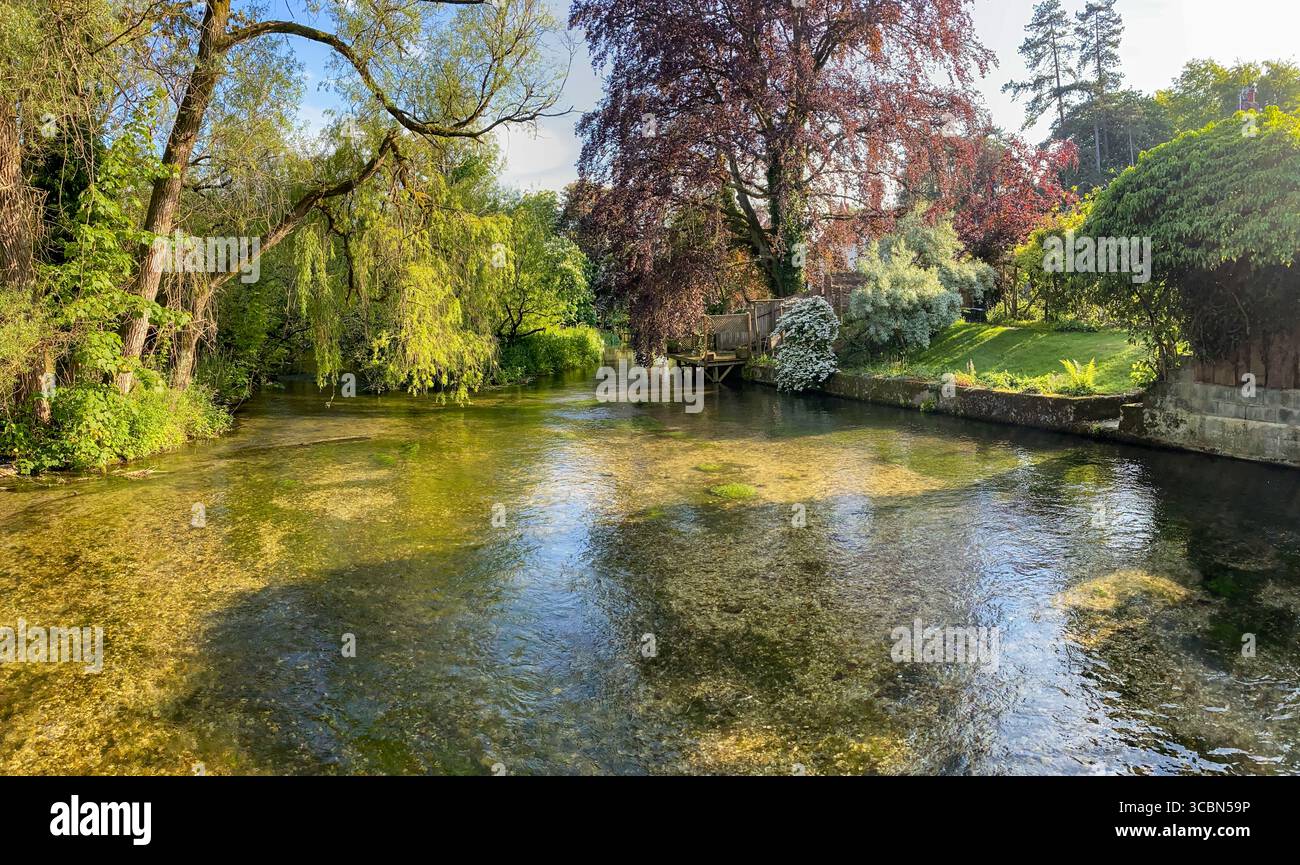 Agosto 2025 bella, tranquilla e classica scena di campagna inglese nel villaggio di Wherwell, Hampshire, che mostra il fiume test che scorre in una giornata di sole Foto Stock