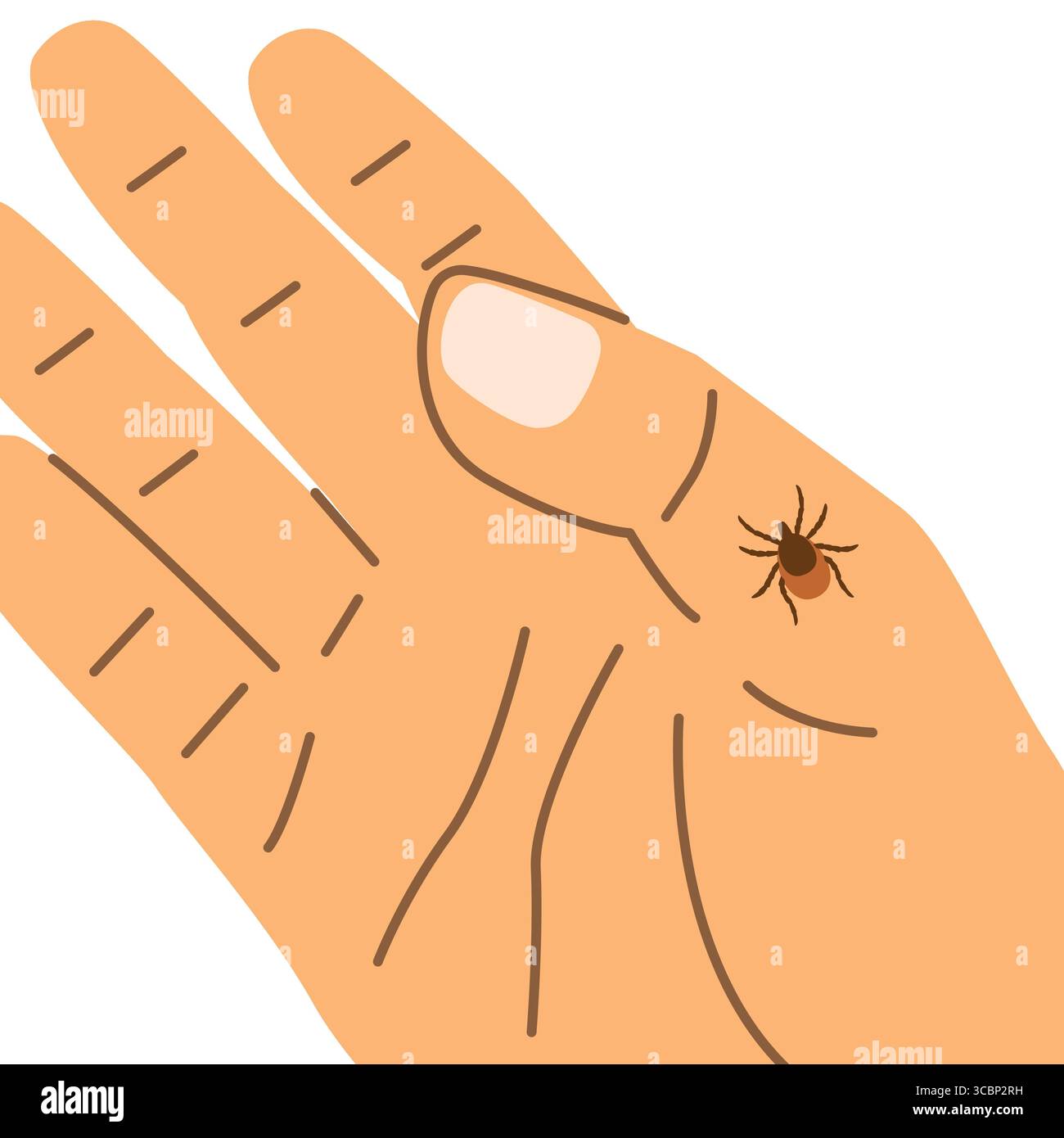 tick on the hand; perfetto per materiali educativi, guide mediche, campagne di controllo dei parassiti, infografiche sulla prevenzione delle malattie - illustrazione vettoriale Illustrazione Vettoriale