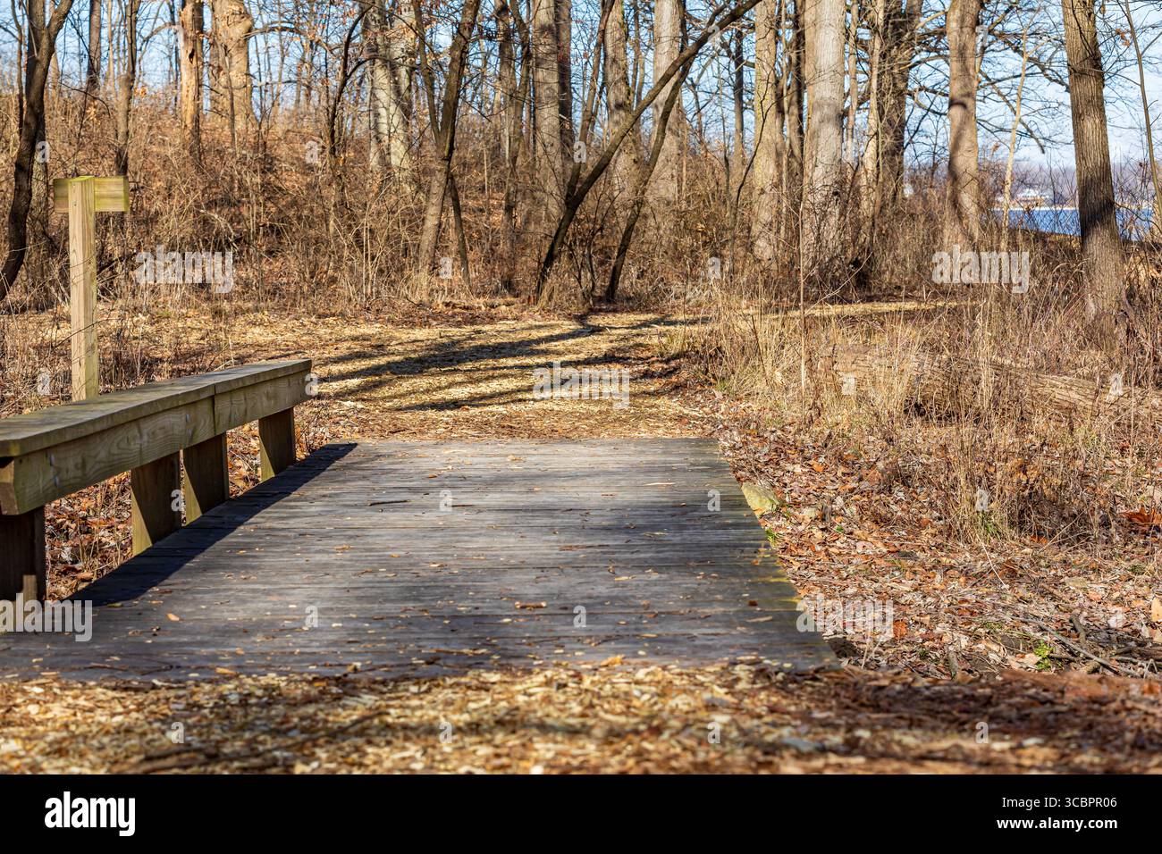 Ponte in legno su sentiero naturalistico. Escursionismo, parchi e natura preservano il concetto di manutenzione. Foto Stock
