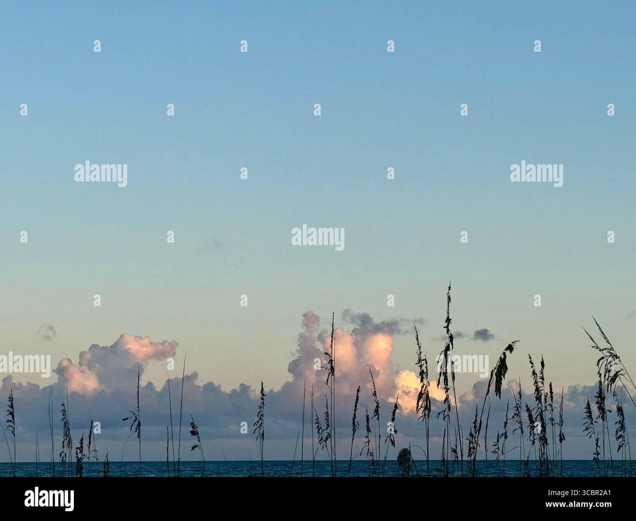 Basse formazioni nuvolose bagnate dal bagliore del sole calante durante l'ora d'oro nella spiaggia di Myrtle. - Immagine stock catturata con smartphone