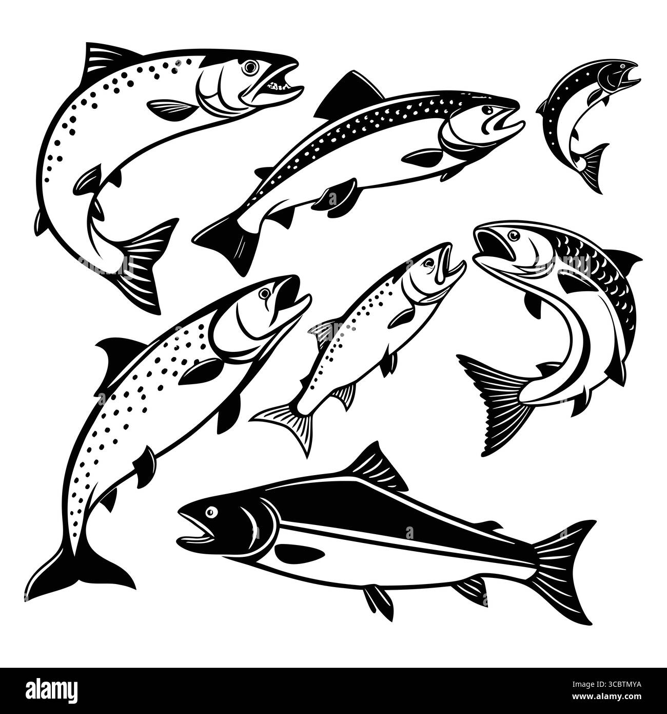Set di varie illustrazioni stilizzate di pesci di salmone dell'Atlantico in bianco e nero Illustrazione Vettoriale
