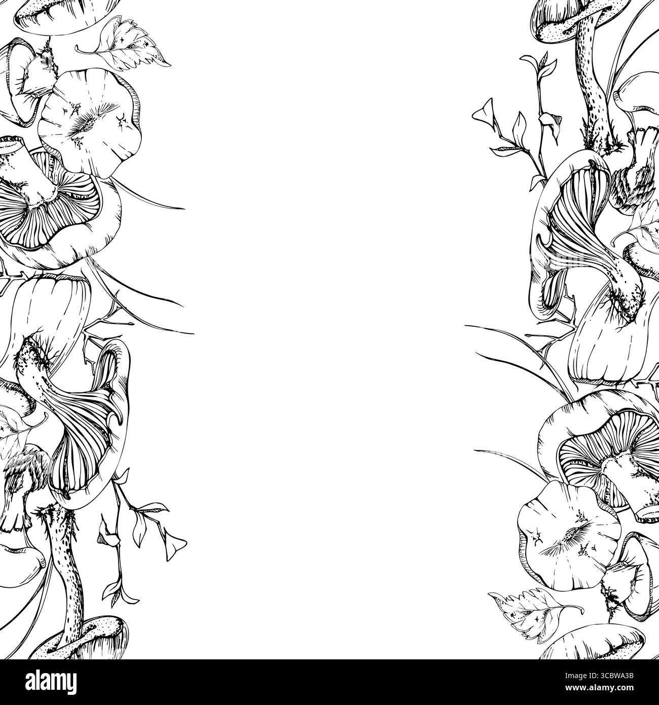 Bolete cep russula suillus funghi funghi disegnati a mano con inchiostro vettoriale. Foglie ramoscelli aghi di pino, raccolta della foresta autunnale, cucina vegana cruda commestibile Illustrazione Vettoriale