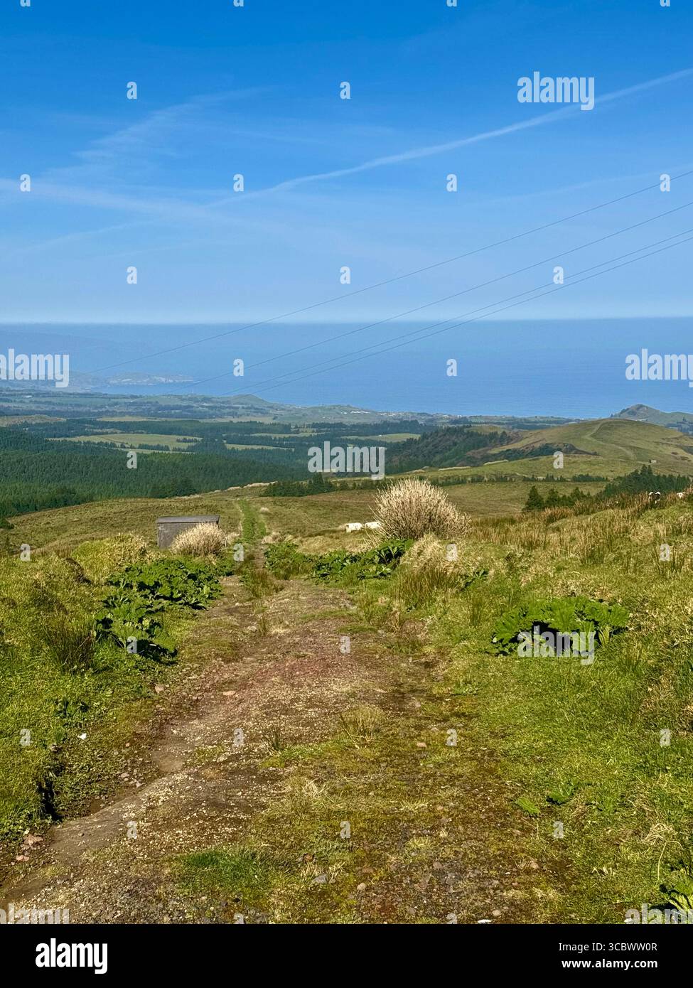 Sentiero panoramico con vista sulle montagne e sull'oceano vicino a Pico da Vara, São Miguel, Azzorre. - Immagine stock catturata con smartphone