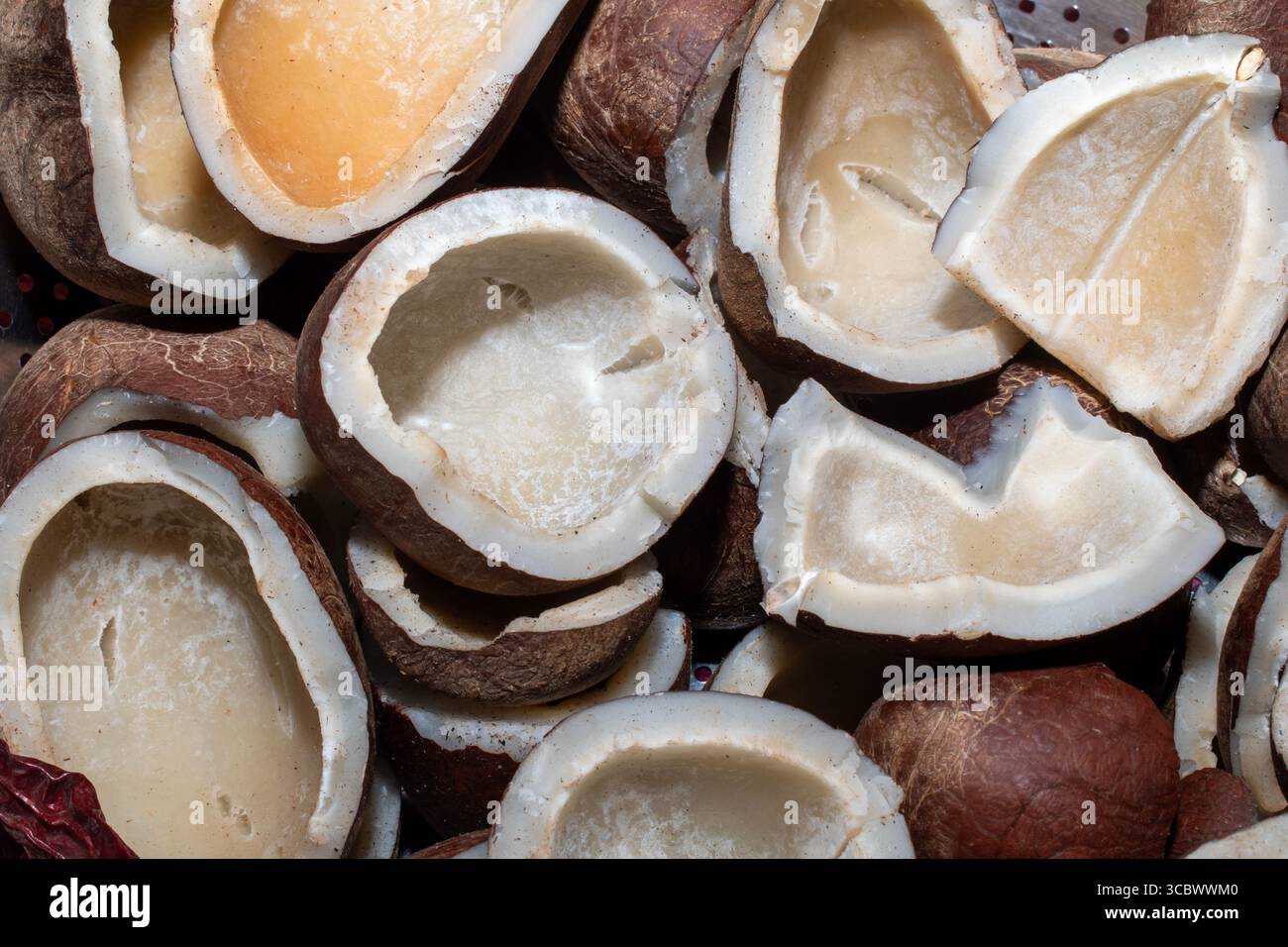 Noce di cocco parzialmente rotta e completamente asciutta Foto Stock