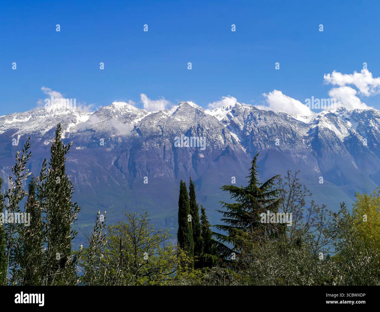Vista dal Musio del Monte Baldo innevato. Alberi in primo piano. Musio è un distretto di Tremosine, una città sulla sponda occidentale del Lago di Garda. Foto Stock