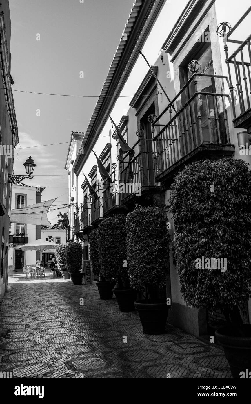 Algarve, Portogallo - 2025.06.28 immagine in bianco e nero di uno stretto vicolo piastrellato con alberi topiari in vaso, balconi tradizionali e bandiere, che conducono Foto Stock