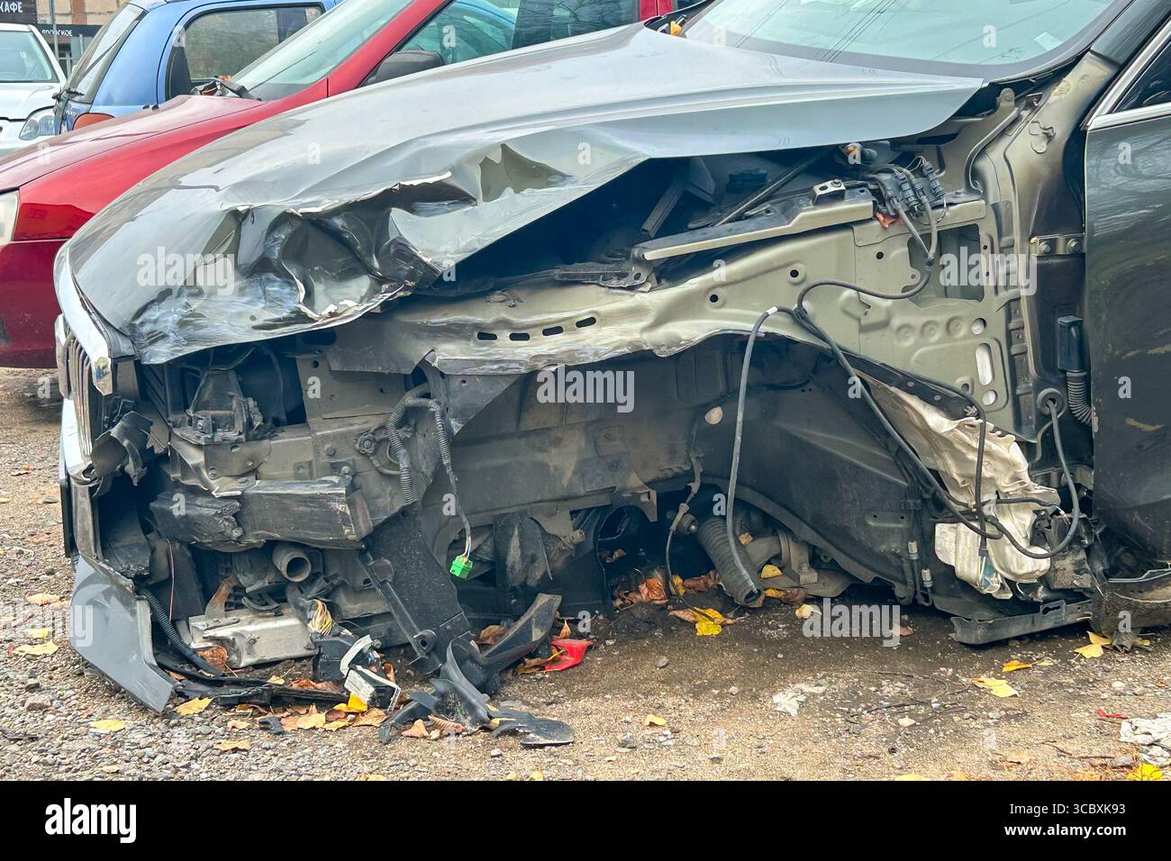 La mucca mangia la spazzatura in sacchetti di plastica in un grande discarica nella regione di Astrakhan, in Russia. Foto Stock