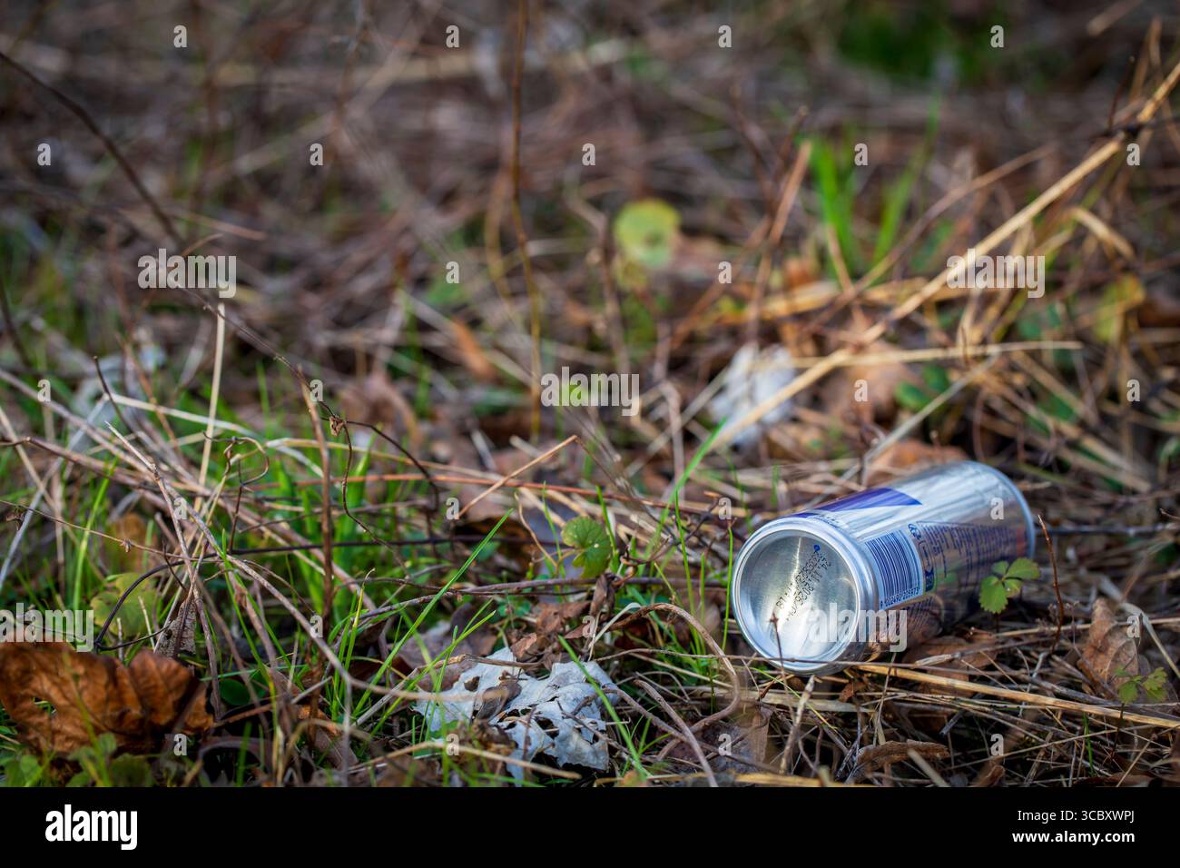 Il contenitore scartato si trova tra l'erba. Catastrofe ecologica. Concetto di contaminazione ambientale, inquinamento e protezione. Foto Stock