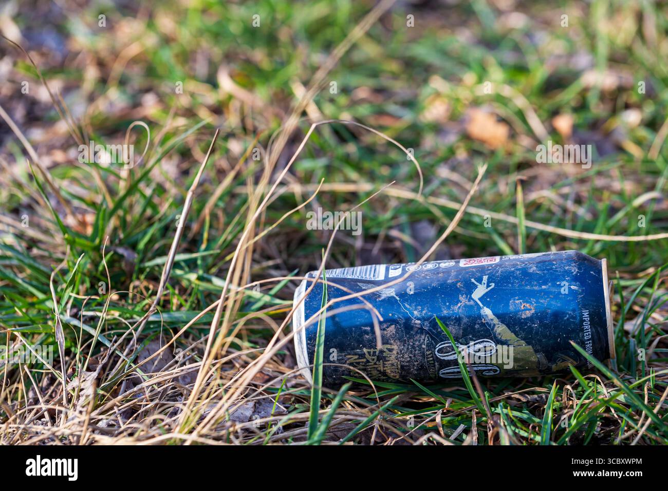 Il contenitore scartato si trova tra l'erba. Catastrofe ecologica. Concetto di contaminazione ambientale, inquinamento e protezione. Foto Stock