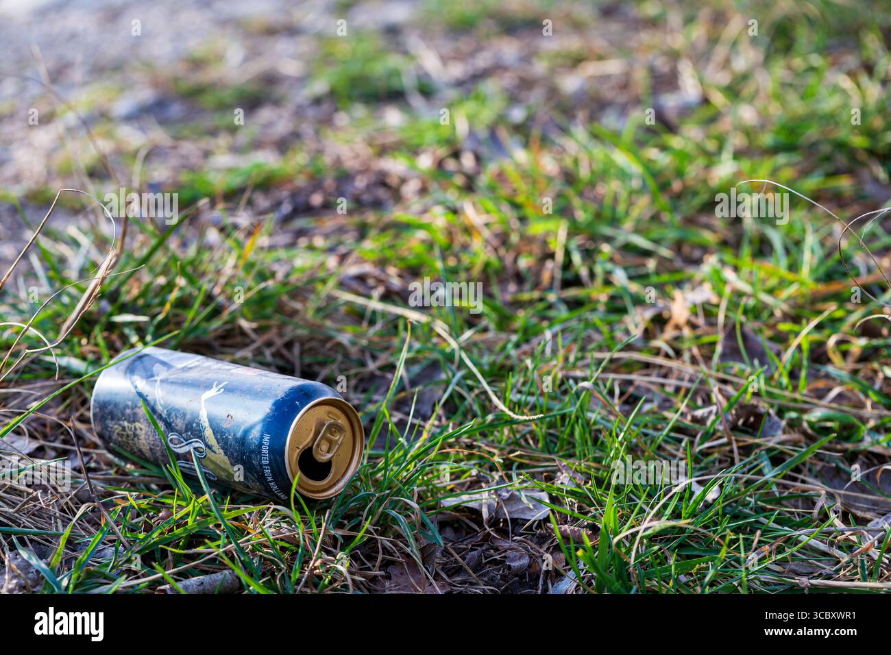 Il contenitore scartato si trova tra l'erba. Catastrofe ecologica. Concetto di contaminazione ambientale, inquinamento e protezione. Foto Stock