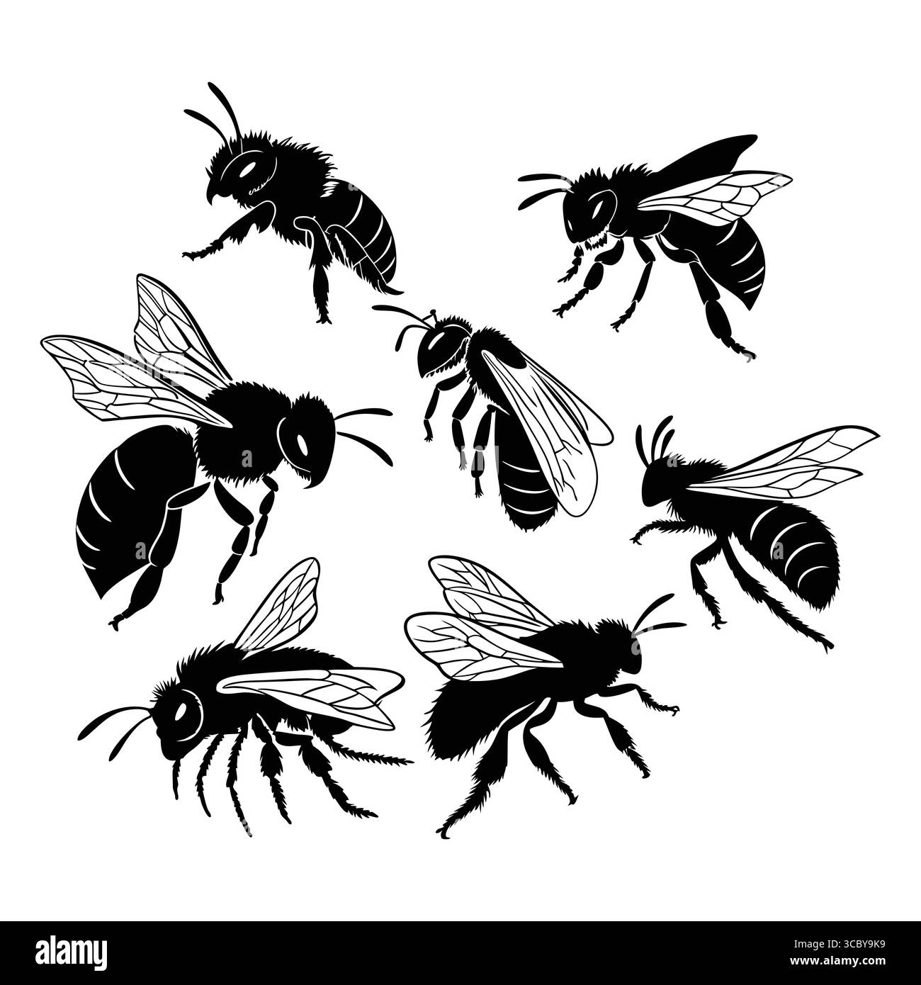 Collezione di Ashy Mining Bee Black silhouette disegni di api mellifere in varie pose Illustrazione Vettoriale