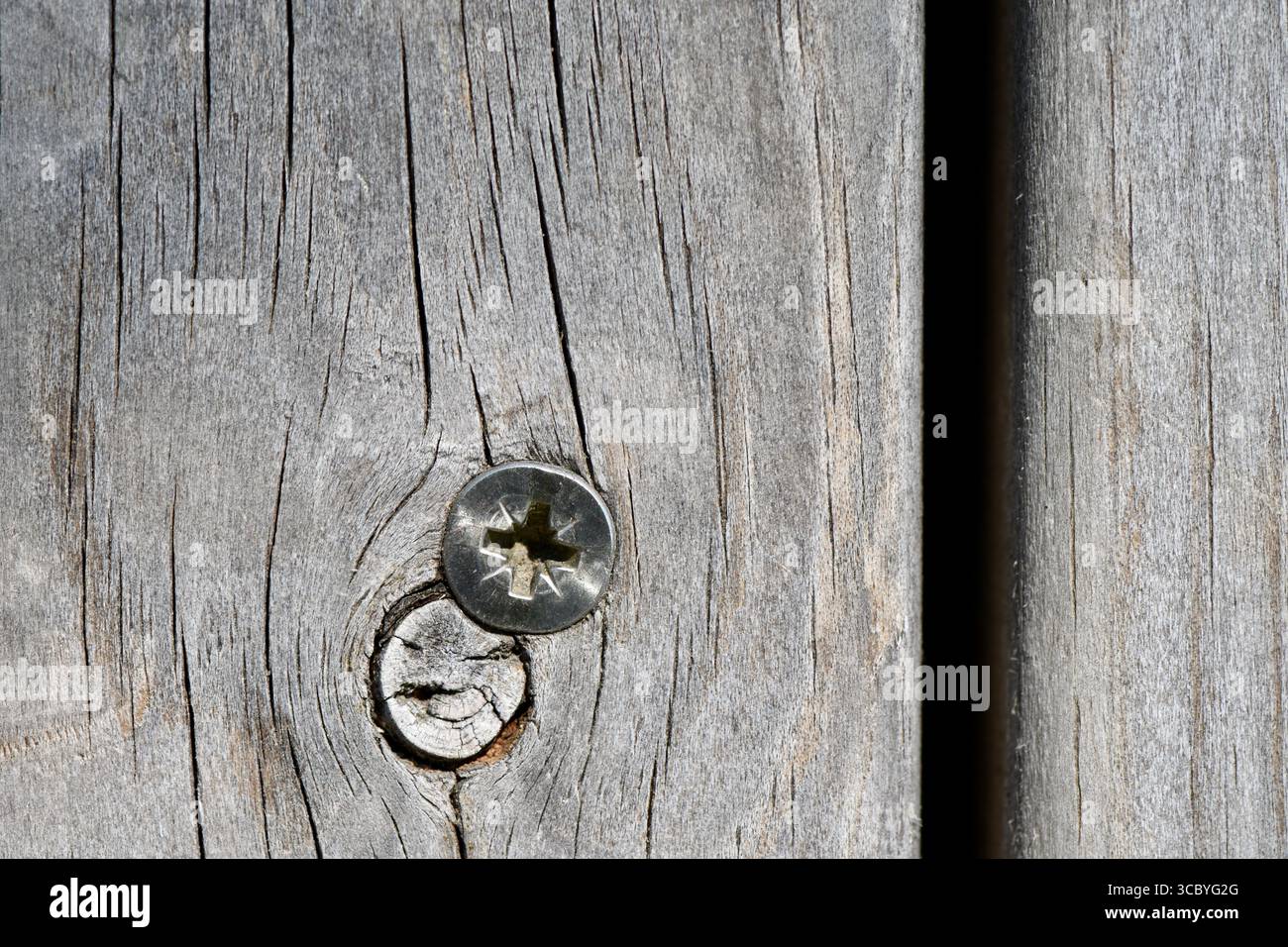 Primo piano di una vite in metallo su una tavola di legno intemprata con crepe e consistenze naturali. Foto Stock
