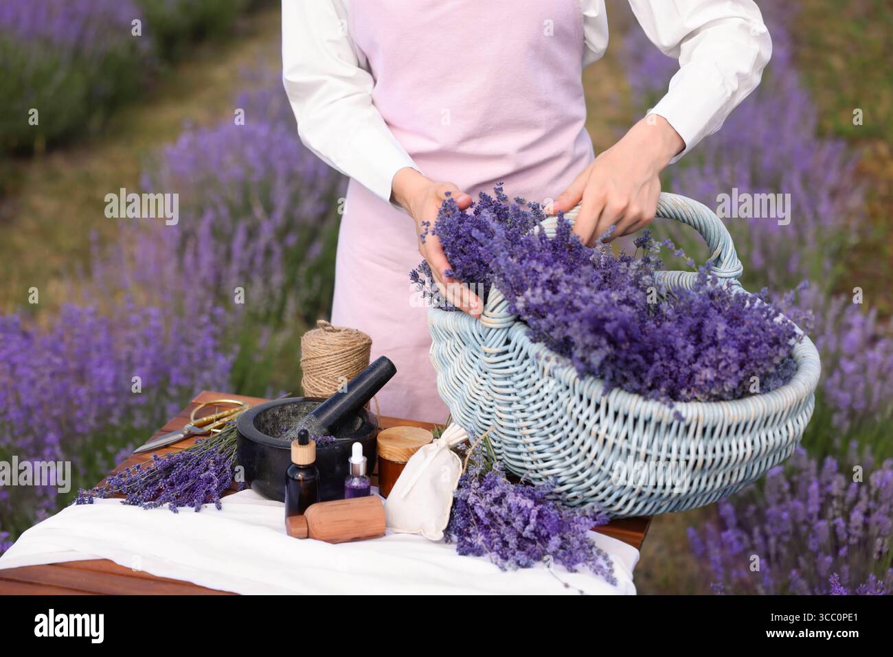 Fare cosmetici naturali. Donna con cesto in vimini di fiori di lavanda e altri ingredienti a tavola nel campo, primo piano Foto Stock