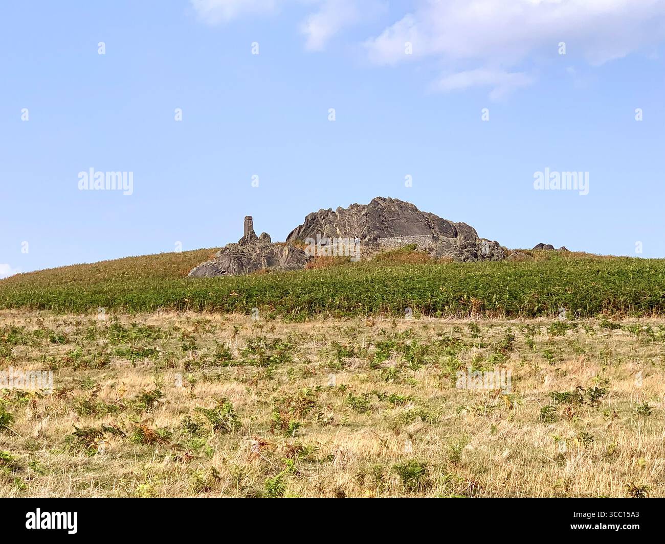 Bradgate Park Newtown Linford Leicester Inghilterra colline, storia della fauna selvatica Regno Unito Leicestershire boschi paesaggio boschivo rocce rocciose paesaggi suggestivi - Immagine stock catturata con smartphone