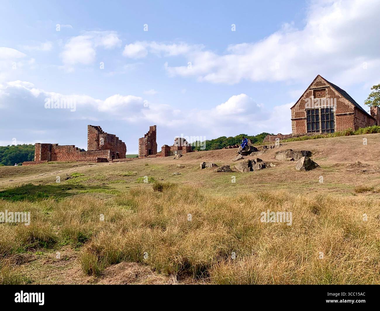 Bradgate Park Newtown Linford Leicester Inghilterra colline, storia della fauna selvatica Regno Unito Leicestershire boschi paesaggio boschivo rocce rocciose paesaggi suggestivi - Immagine stock catturata con smartphone