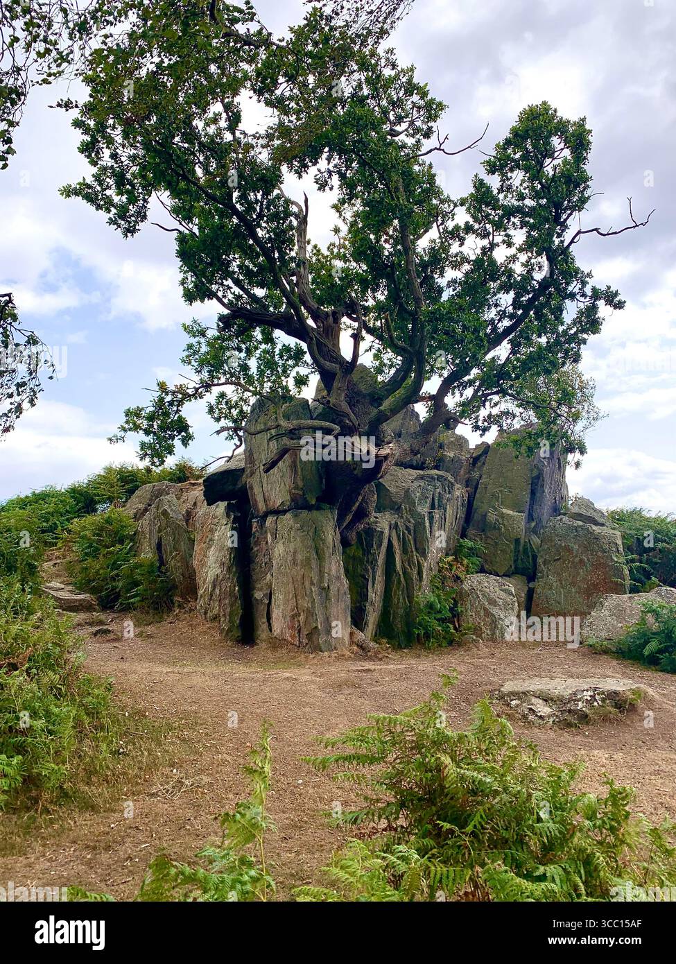 Bradgate Park Newtown Linford Leicester Inghilterra colline, storia della fauna selvatica Regno Unito Leicestershire boschi paesaggio boschivo rocce rocciose paesaggi suggestivi - Immagine stock catturata con smartphone