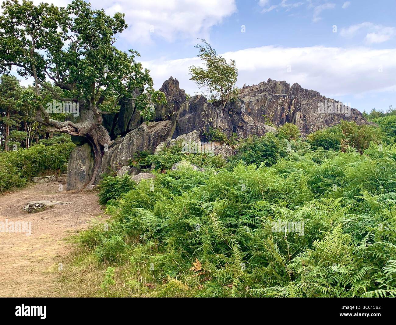 Bradgate Park Newtown Linford Leicester Inghilterra colline, storia della fauna selvatica Regno Unito Leicestershire boschi paesaggio boschivo rocce rocciose paesaggi suggestivi - Immagine stock catturata con smartphone