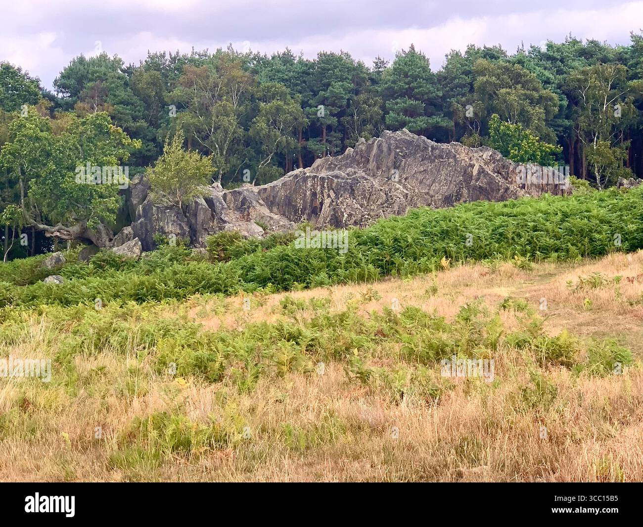 Bradgate Park Newtown Linford Leicester Inghilterra colline, storia della fauna selvatica Regno Unito Leicestershire boschi paesaggio boschivo rocce rocciose paesaggi suggestivi - Immagine stock catturata con smartphone