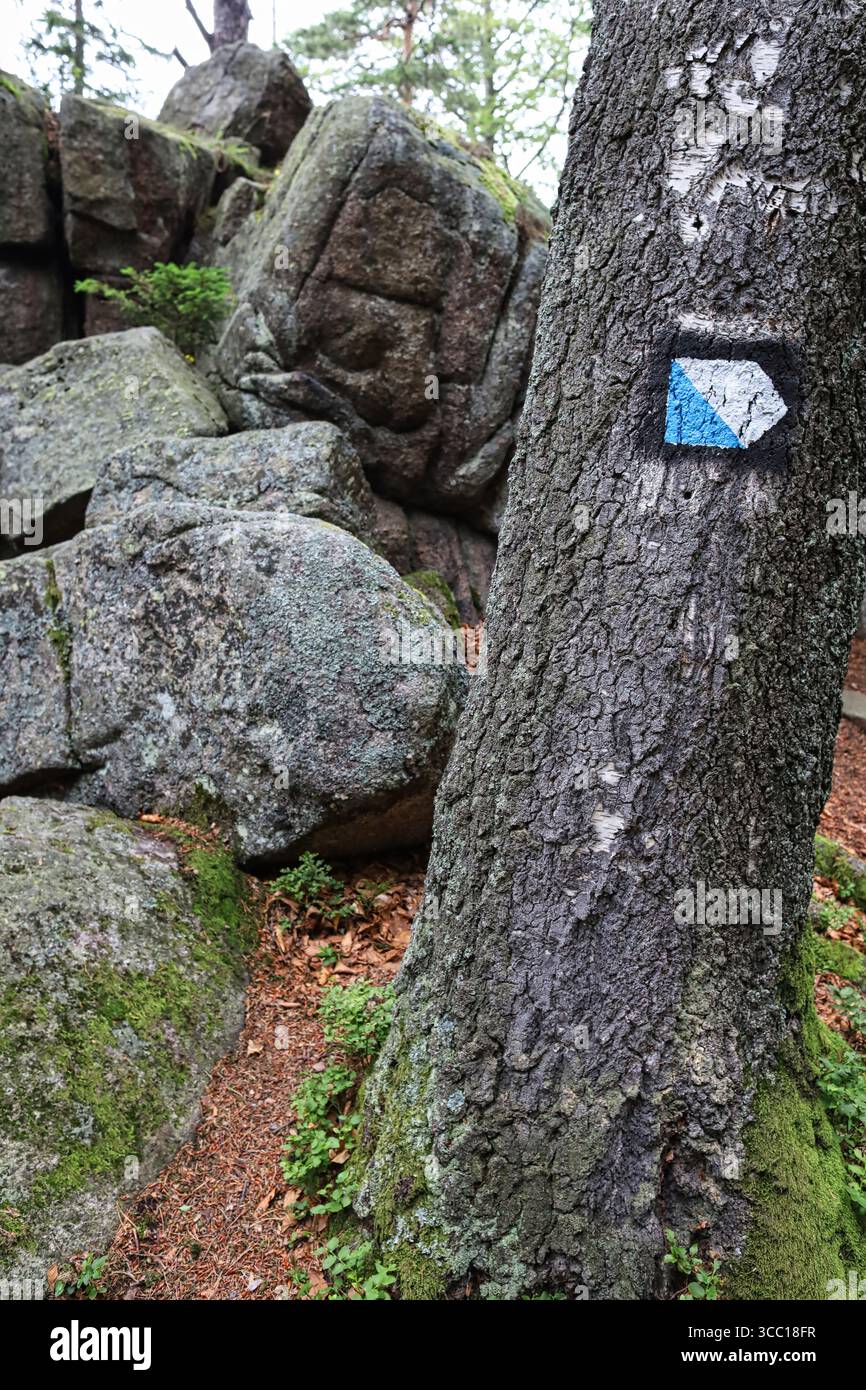 Un segnavia blu e bianco dipinto su un tronco di albero con formazioni rocciose sullo sfondo. Foto Stock