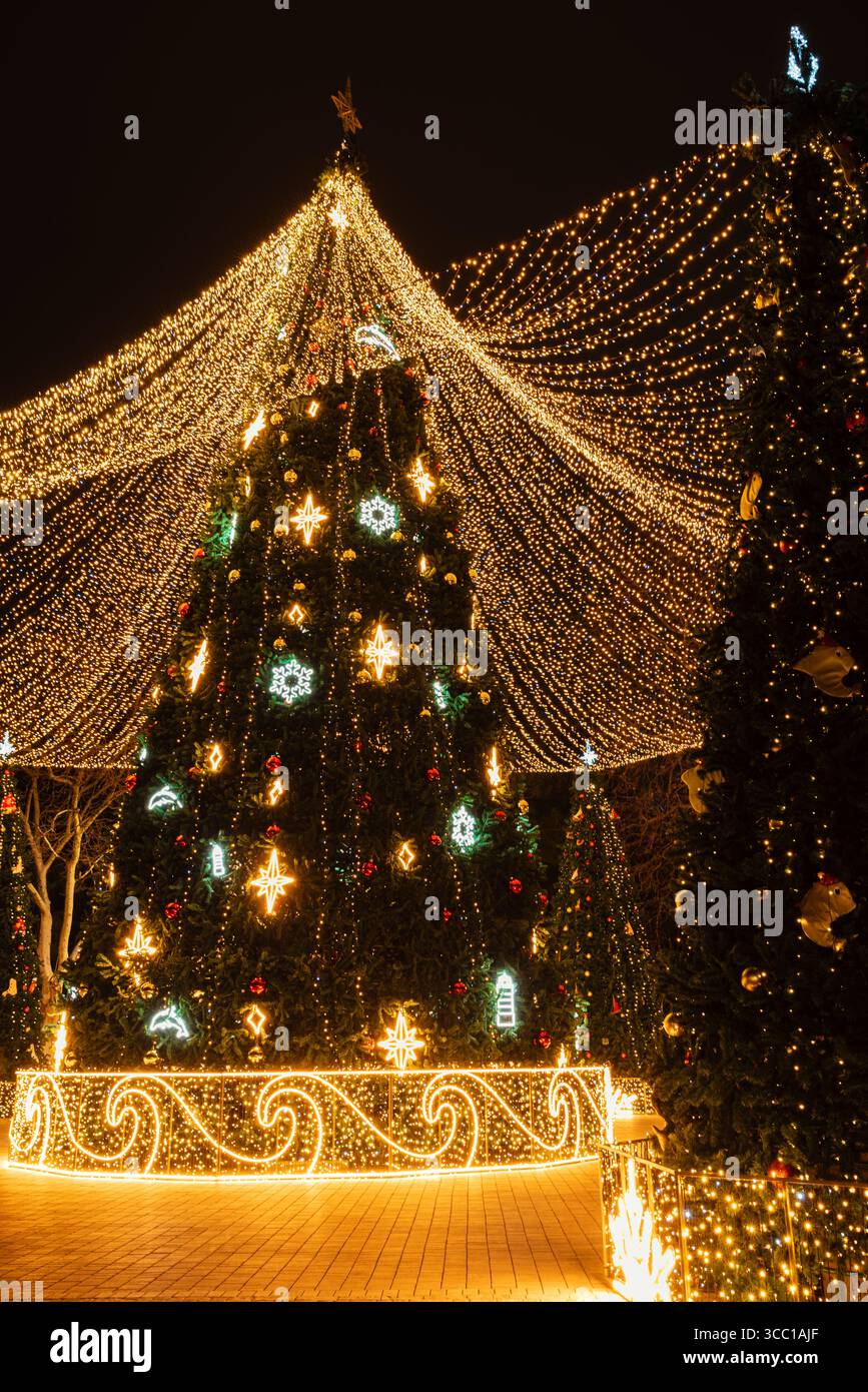 Alberi di Natale con luci festive, una magica scena notturna natalizia. Foto Stock