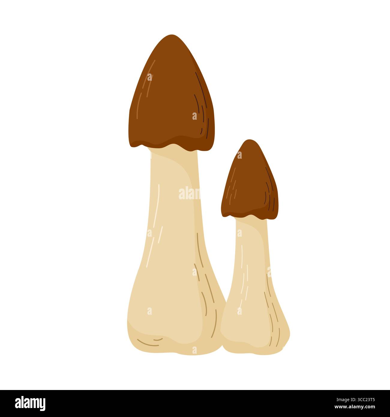 Illustrazione vettoriale del fungo Amanita. Funghi velenosi nelle foreste Illustrazione Vettoriale
