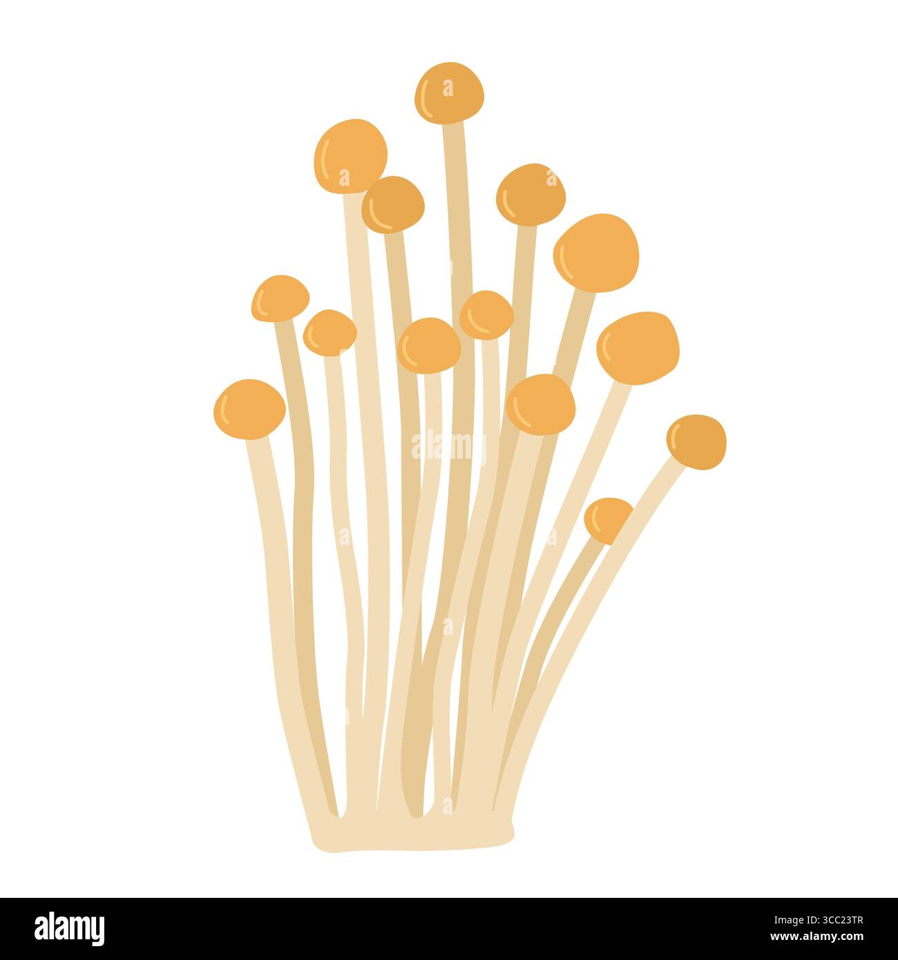 Illustrazione vettoriale del fungo Amanita. Funghi velenosi nelle foreste Illustrazione Vettoriale