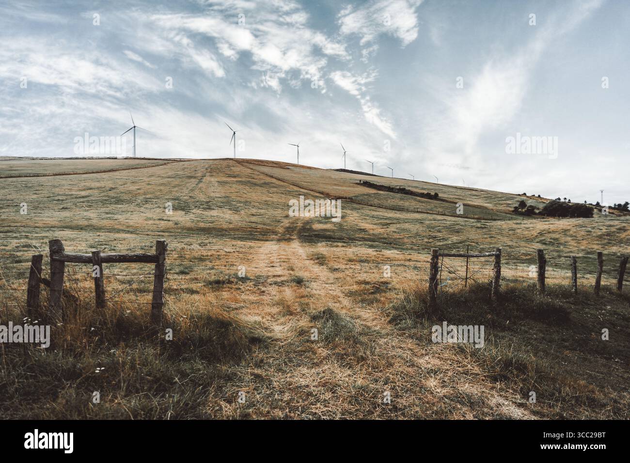 Ampia collina erbosa aperta con un sentiero sterrato che conduce verso una fila di turbine eoliche sul crinale, incorniciata da rustici pali di recinzione in legno sotto una suggestiva cricca Foto Stock