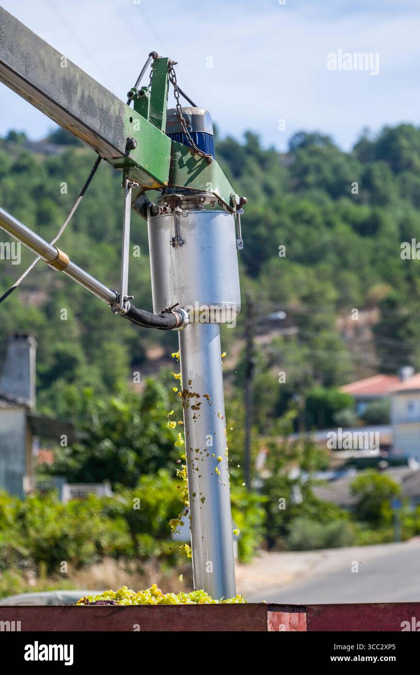 Coclea elettrica sul braccio utilizzata per misurare il contenuto di zucchero delle uve Moscatel Galego Branco consegnate alla Adega Cooperativa de Favaios Foto Stock