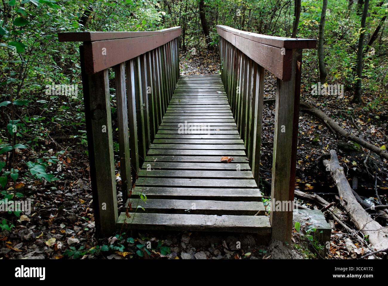 Cammino in legno immagini e fotografie stock ad alta risoluzione - Alamy