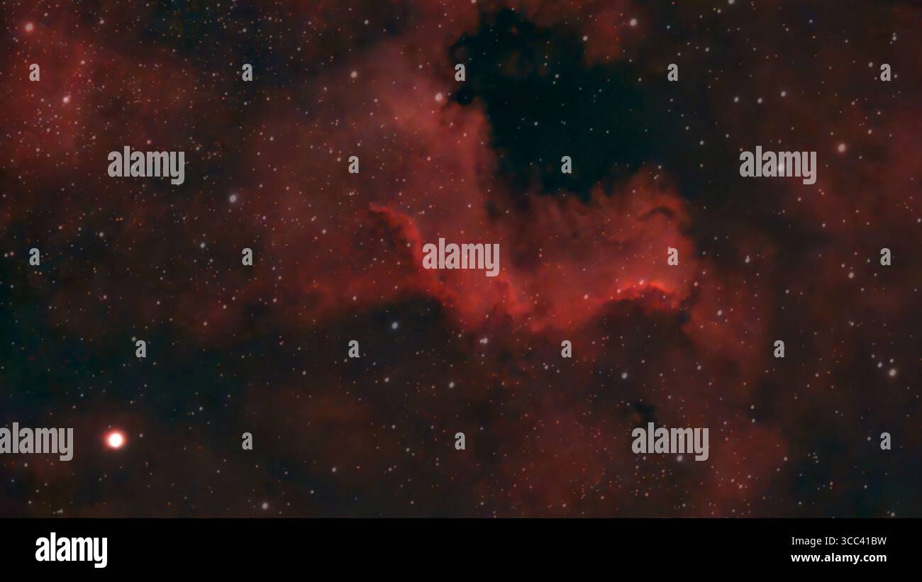 Wimbledon, Londra, Regno Unito. 10 agosto 2025. Il muro di Cygnus fotografato sopra Londra, Regno Unito il 10 agosto 2025 - la regione che forma una stella luminosa fa parte dell'NGC 7000, la Nebulosa del Nord America. La nebulosa è a 2.600 anni luce dalla Terra. Questa immagine è una vera acquisizione a colori con filtri a banda stretta. Crediti: Malcolm Park/Alamy Live News Foto Stock