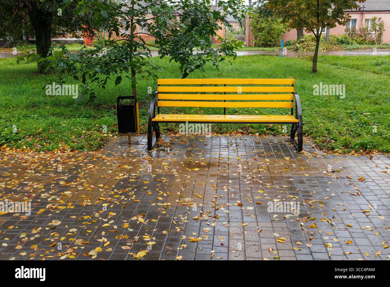 Panchina gialla luminosa in un parco dopo la pioggia, circondata da marciapiedi bagnati e foglie autunnali sparse con lussureggiante erba verde. Foto Stock