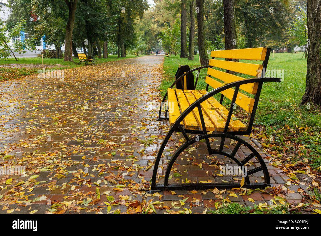Panchina gialla luminosa in un parco dopo la pioggia, circondata da marciapiedi bagnati e foglie autunnali sparse con lussureggiante erba verde. Foto Stock