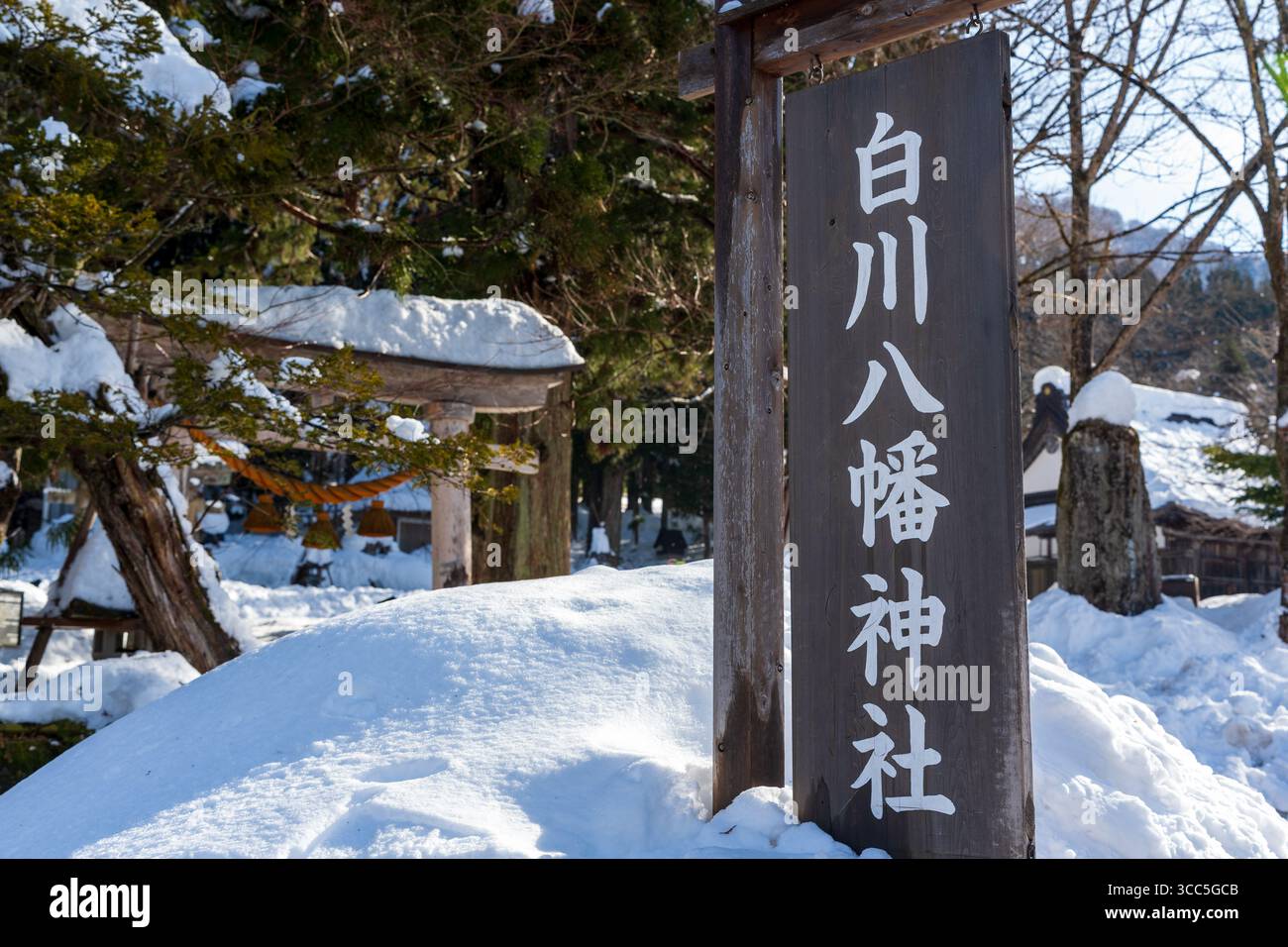 La sacra porta torii d'ingresso del Santuario Shirakawa Hachiman, un tranquillo santuario shintoista coperto da una fitta coperta di neve fresca invernale. Gifu, Giappone Foto Stock