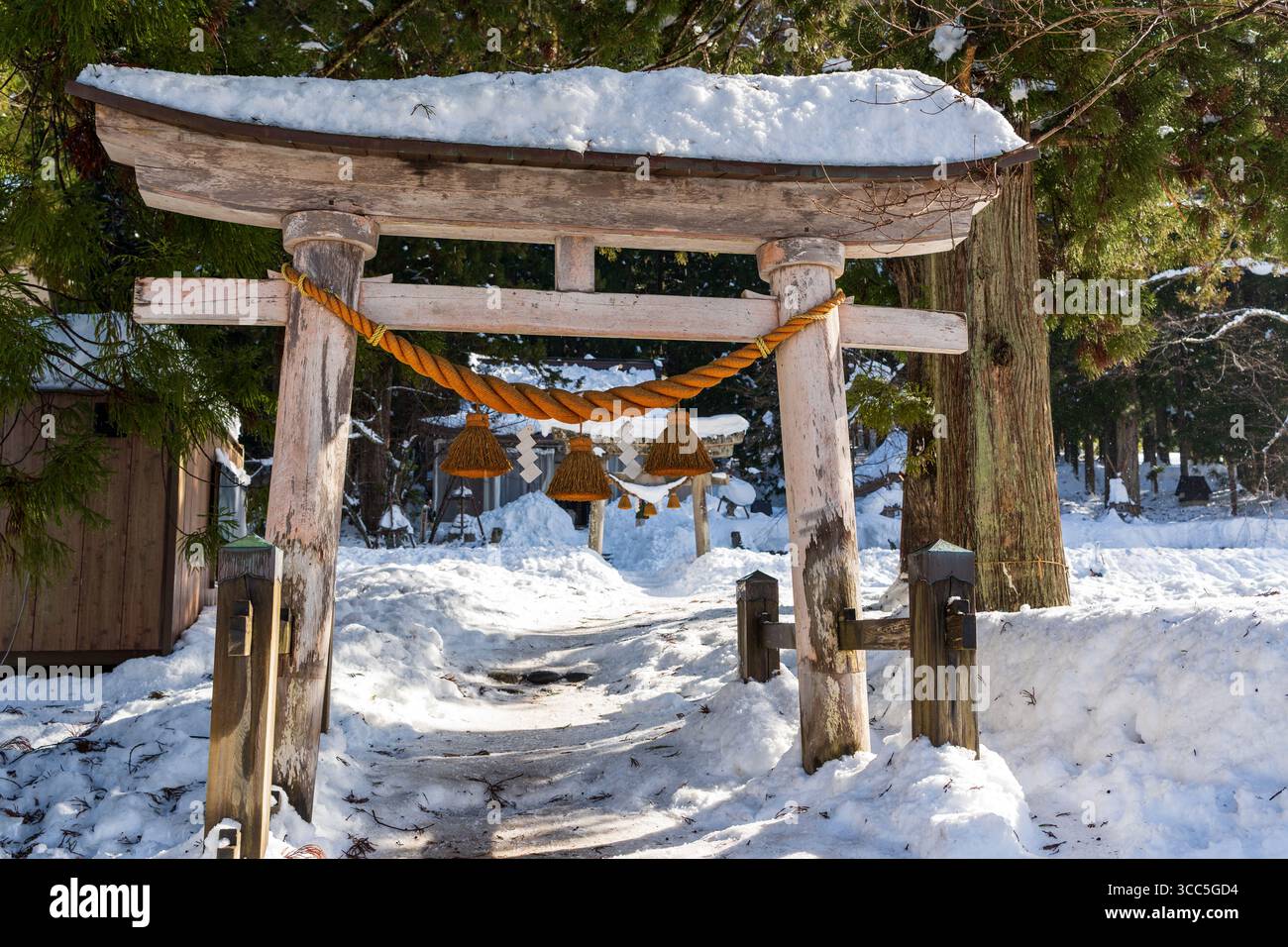 La sacra porta torii d'ingresso del Santuario Shirakawa Hachiman, un tranquillo santuario shintoista coperto da una fitta coperta di neve fresca invernale. Gifu, Giappone Foto Stock